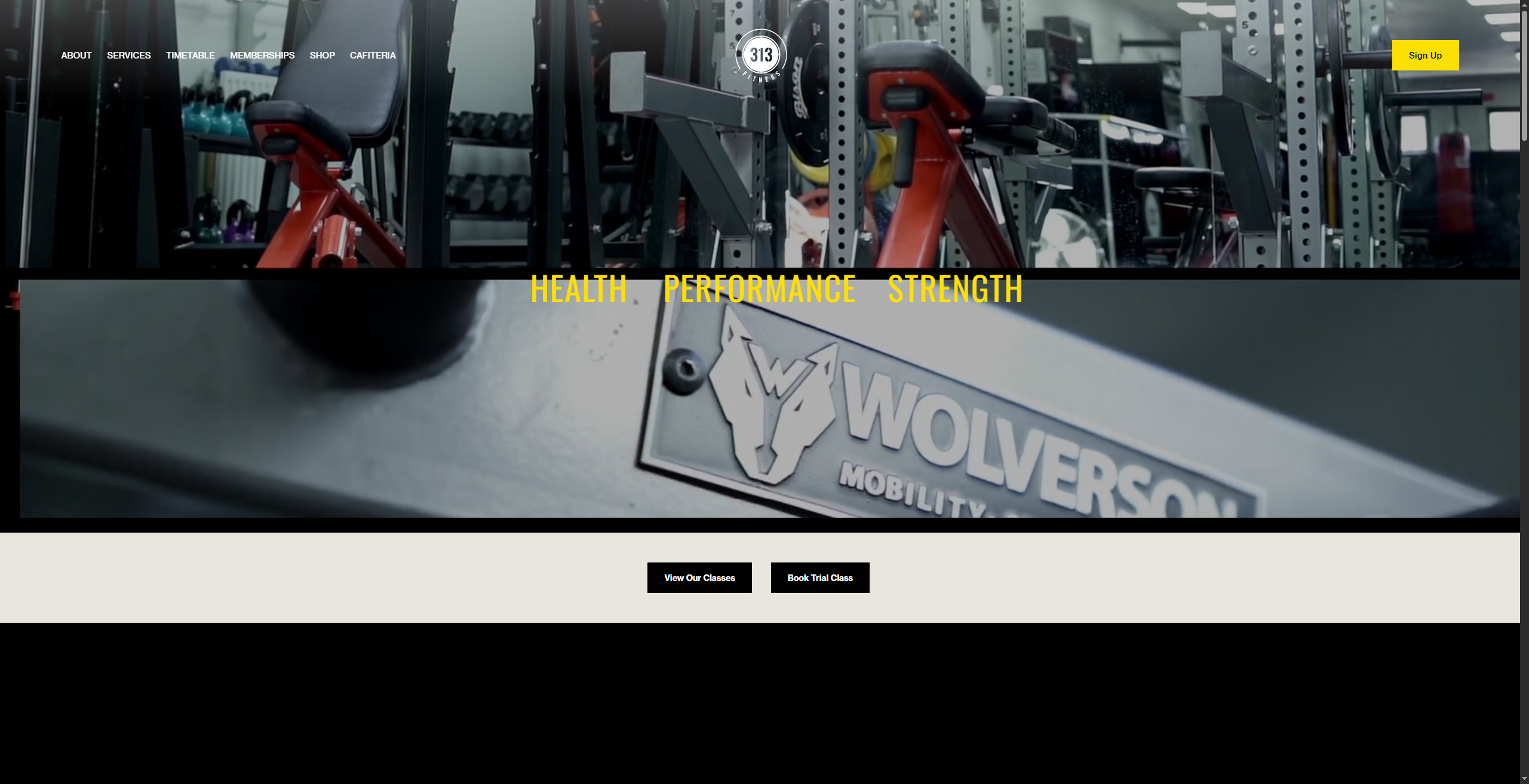 313 Fitness - Health & Wellness Platform